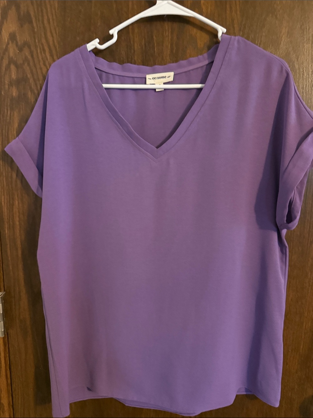 eesome Lavender V-Neck Short Sleeve Top